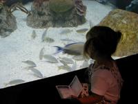 Aquarium-3.JPG