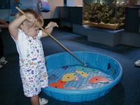 Aquarium-4.JPG
