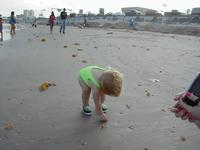Beach-10.JPG