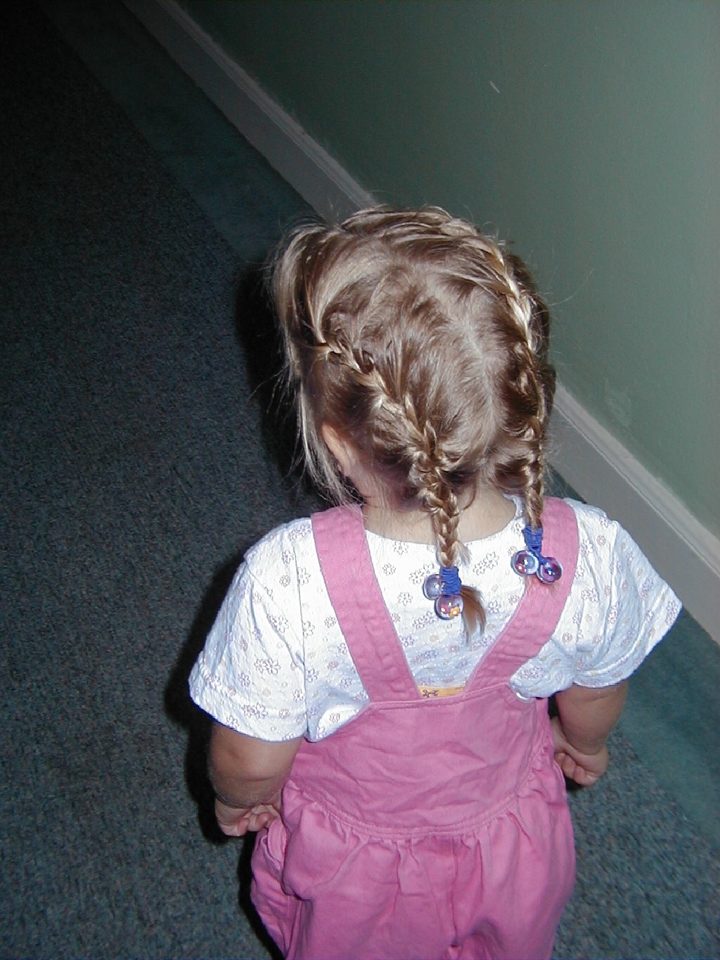 camera/2000/07(July)/Miscellaneous/Braids.JPG