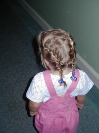 camera/2000/07(July)/Miscellaneous/Braids.JPG