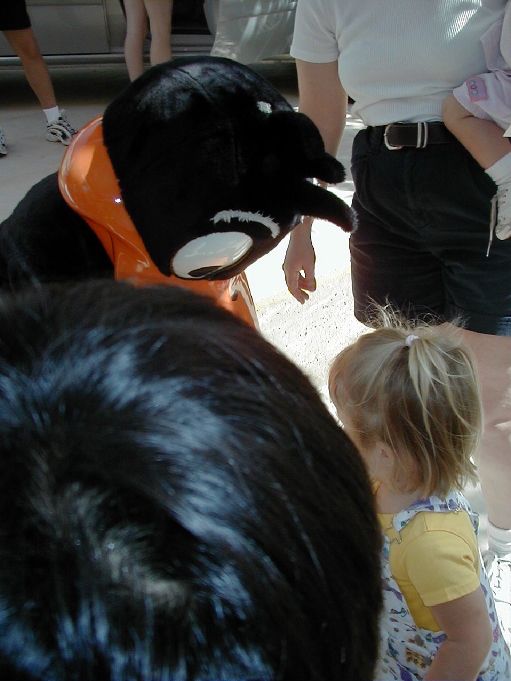 camera/2000/09(September)/09_23_Fiesta_Texas/1024x768_P9230004.JPG