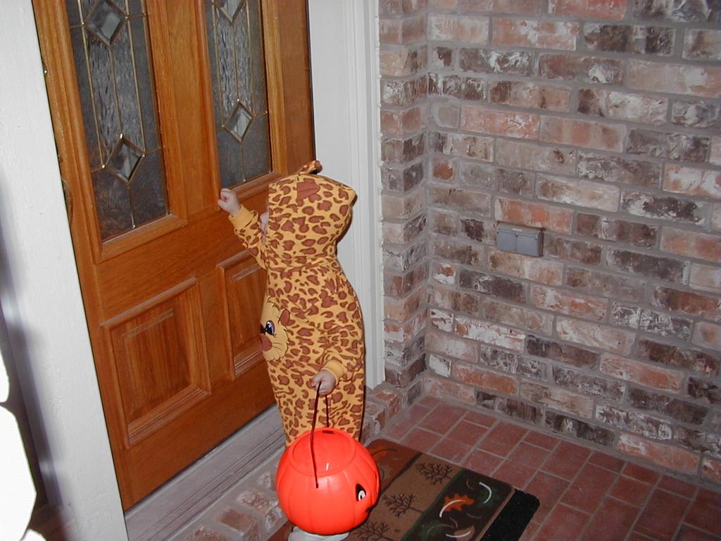 PA310008.JPG