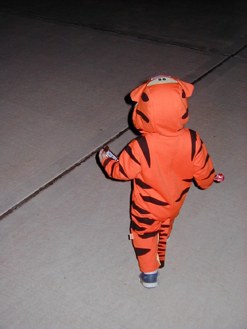 PA310020.JPG