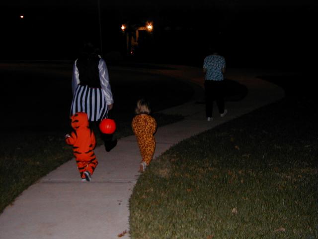 PA310019.JPG