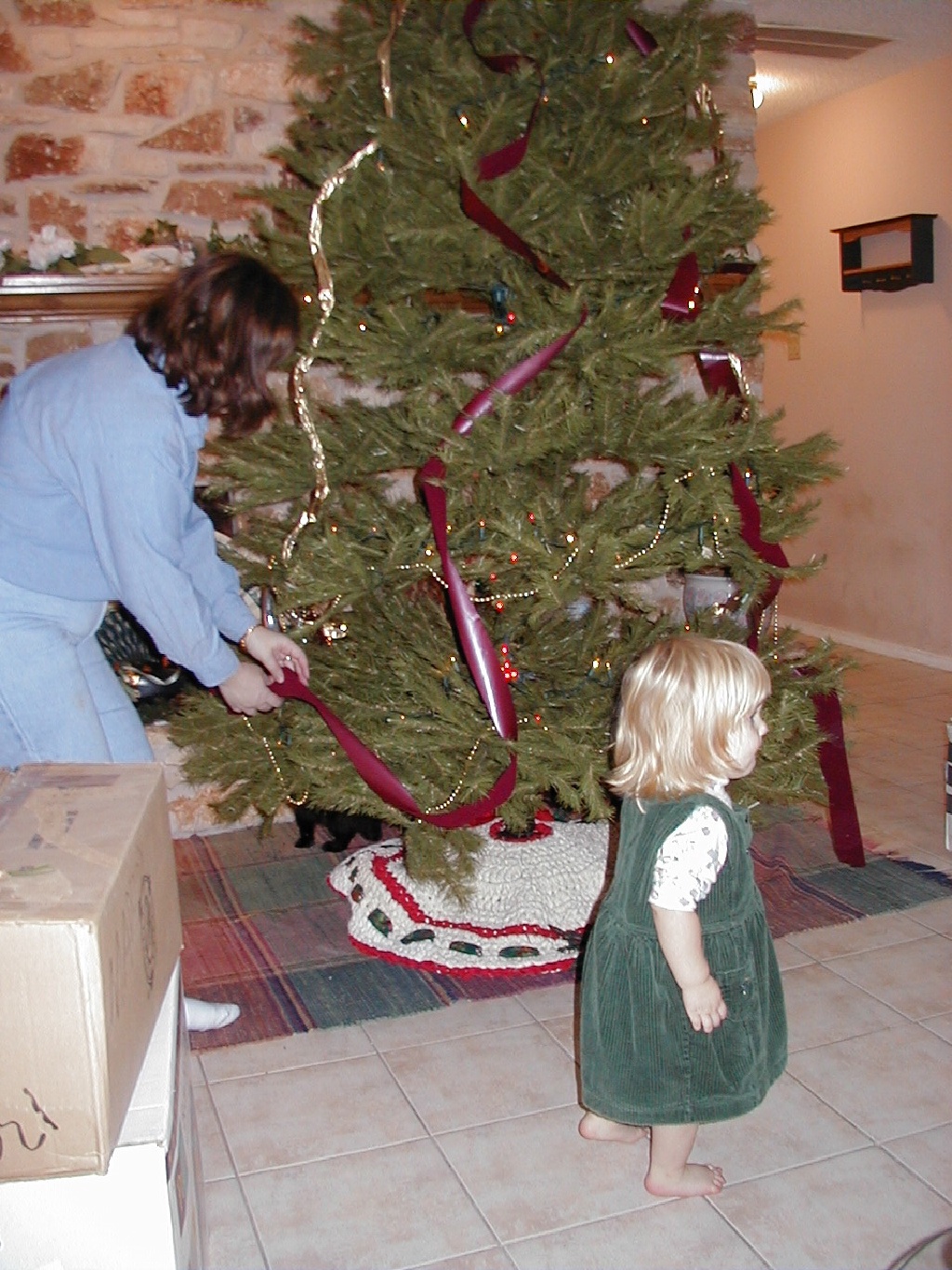 camera/2000/12(December)/12_02_Trimming_the_Tree/1024x768_Tree_Trimming-04.JPG