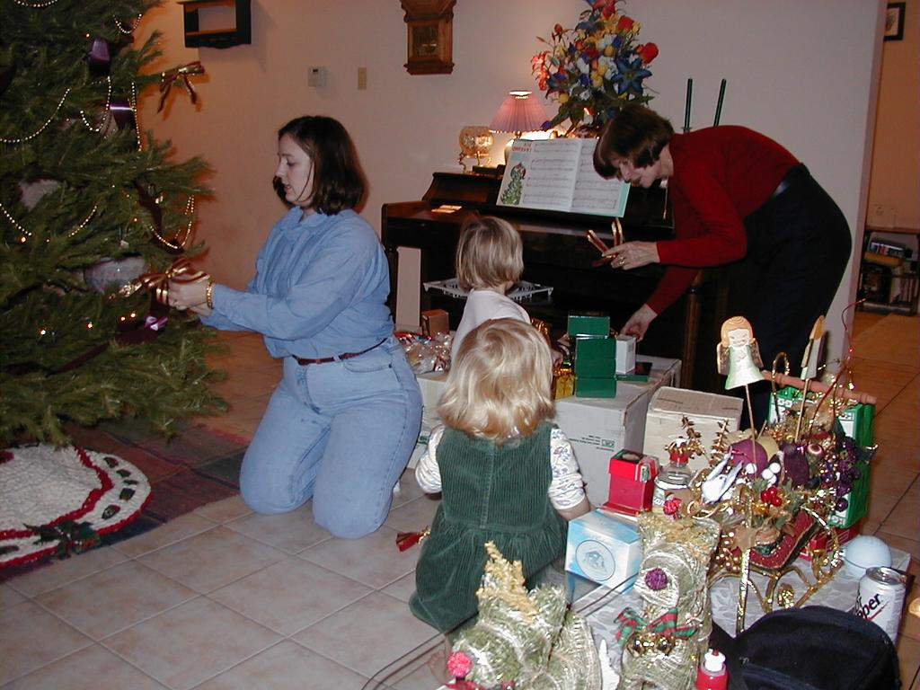 camera/2000/12(December)/12_02_Trimming_the_Tree/1024x768_Tree_Trimming-07.JPG