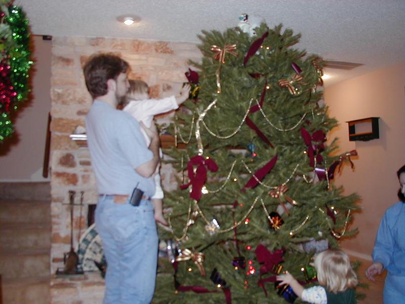Tree_Trimming-12.JPG