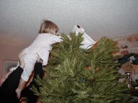 Tree_Trimming-01.JPG