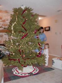 Tree_Trimming-06.JPG
