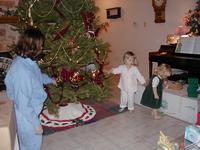 Tree_Trimming-08.JPG
