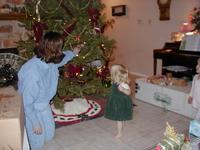 Tree_Trimming-09.JPG