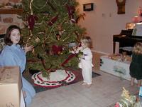 Tree_Trimming-10.JPG