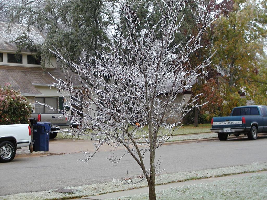 camera/2000/12(December)/12_13_Icy_Morning/1024x768_PC130014.JPG