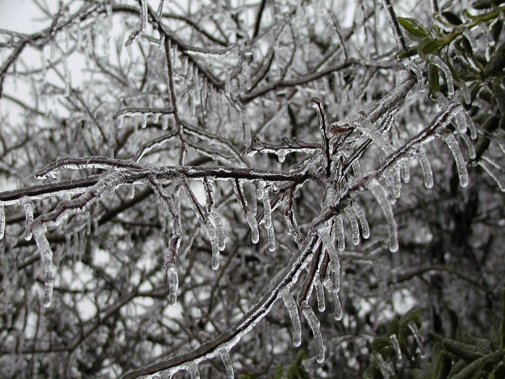 camera/2000/12(December)/12_13_Icy_Morning/1024x768_PC130017.JPG