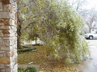 PC130011.JPG