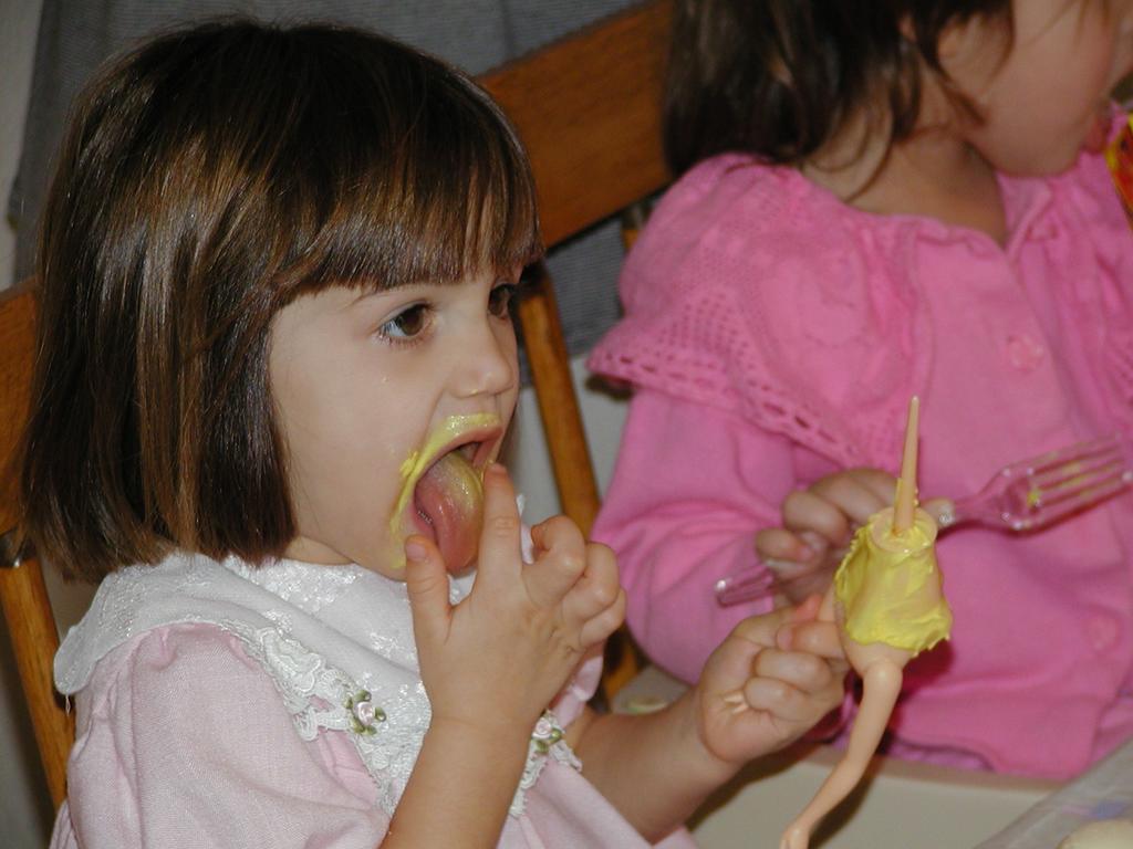 camera/2000/12(December)/12_16_Victoria's_3rd_Birthday_Party/1024x768_PC160057.JPG