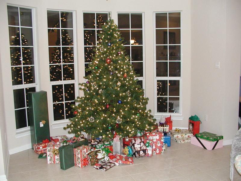 camera/2000/12(December)/12_25_Christmas_with_Ken_and_Star/800x600_ChristmasDinner-37.JPG