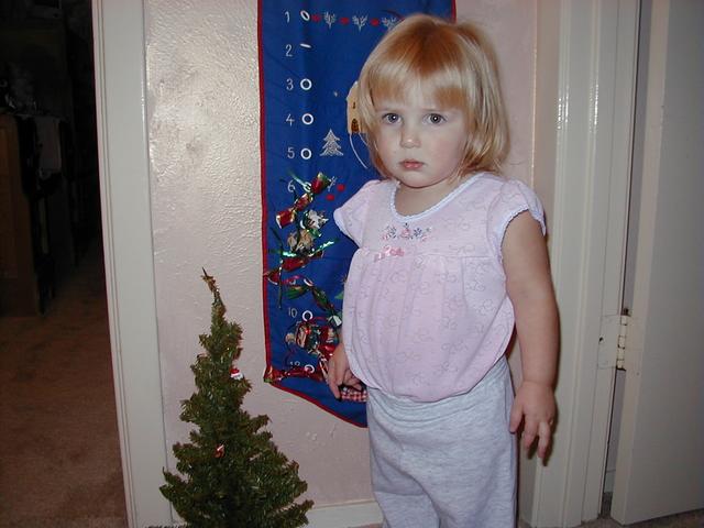 camera/2000/12(December)/Miscellaneous/640x480_Advent_Calendars-10.JPG