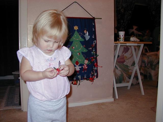 camera/2000/12(December)/Miscellaneous/640x480_Advent_Calendars-12.JPG