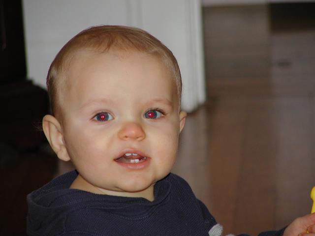 camera/2001/01(January)/01_19_Babysitting/640x480_P1190013.JPG