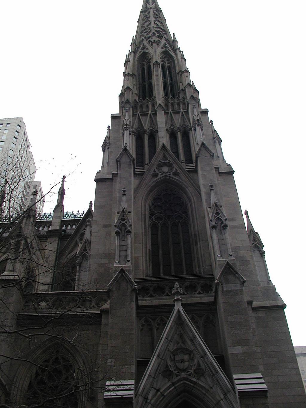P3170019.JPG