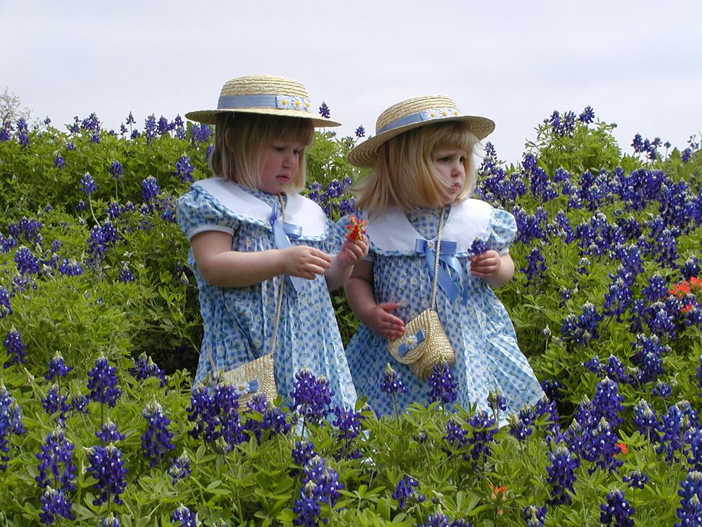 camera/2001/03(March)/03_25_Bluebonnets/1024x768_P3250007.JPG
