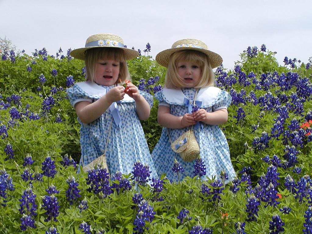 camera/2001/03(March)/03_25_Bluebonnets/1024x768_P3250009.JPG