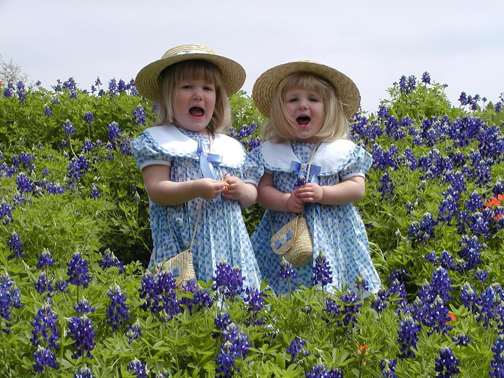 camera/2001/03(March)/03_25_Bluebonnets/1024x768_P3250011.JPG