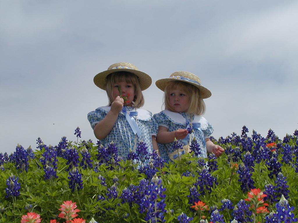 camera/2001/03(March)/03_25_Bluebonnets/1024x768_P3250018.JPG