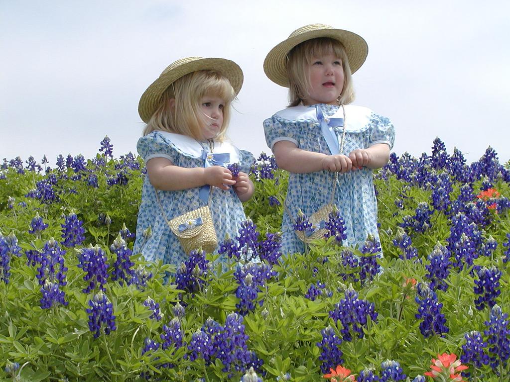 camera/2001/03(March)/03_25_Bluebonnets/1024x768_P3250019.JPG