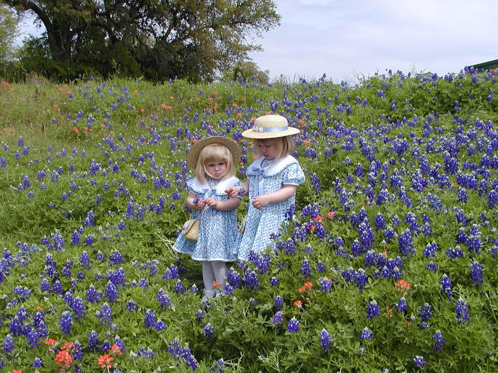 camera/2001/03(March)/03_25_Bluebonnets/1024x768_P3250023.JPG