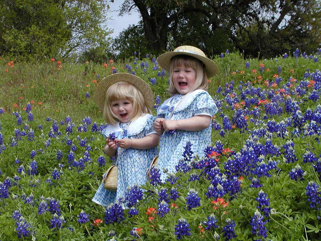 camera/2001/03(March)/03_25_Bluebonnets/1024x768_P3250025.JPG