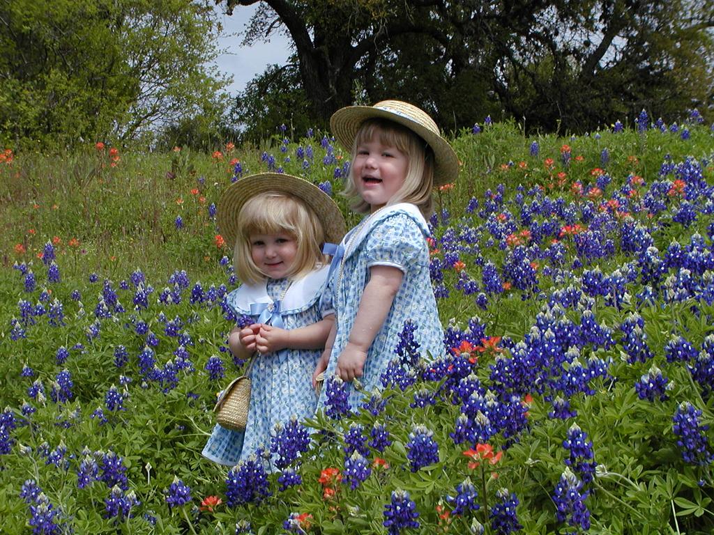 camera/2001/03(March)/03_25_Bluebonnets/1024x768_P3250031.JPG