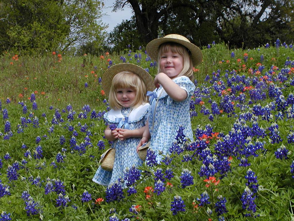 camera/2001/03(March)/03_25_Bluebonnets/1024x768_P3250033.JPG