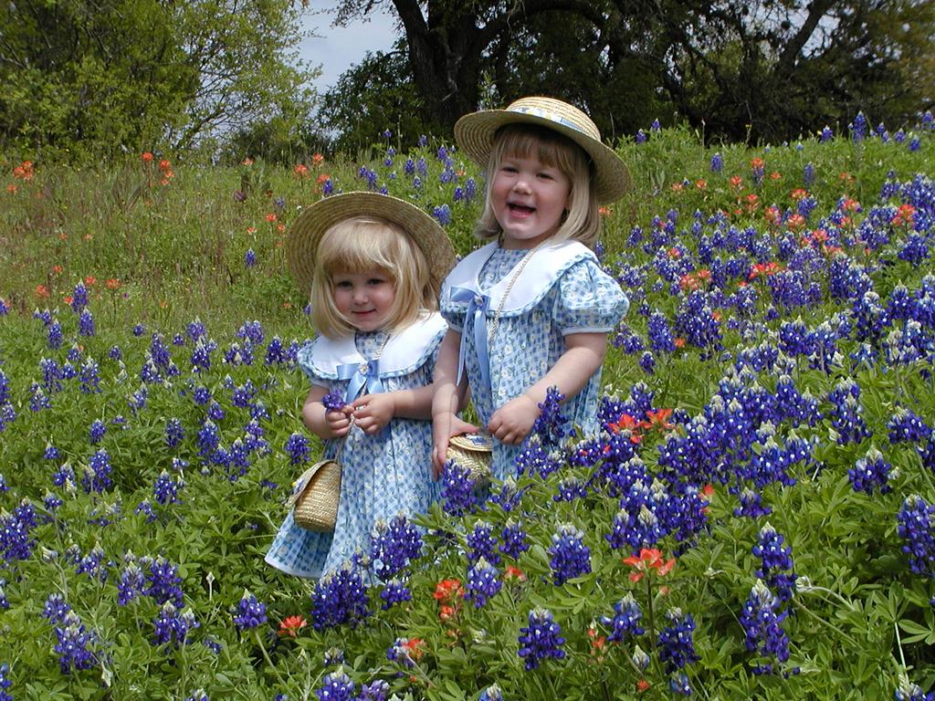 camera/2001/03(March)/03_25_Bluebonnets/1024x768_P3250043.JPG