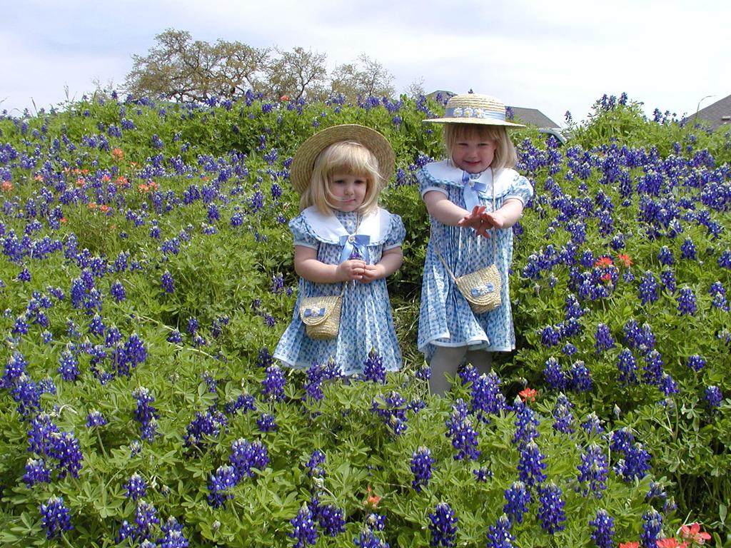 camera/2001/03(March)/03_25_Bluebonnets/1024x768_P3250054.JPG