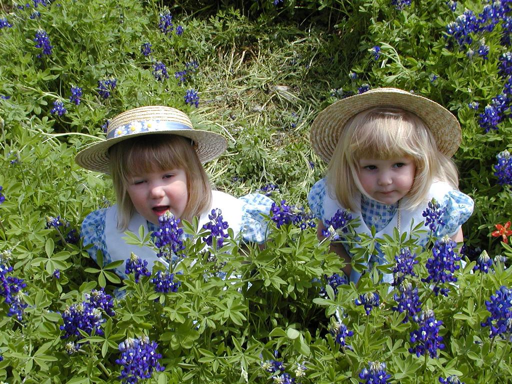 camera/2001/03(March)/03_25_Bluebonnets/1024x768_P3250057.JPG