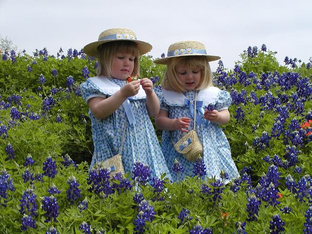 camera/2001/03(March)/03_25_Bluebonnets/640x480_P3250008.JPG