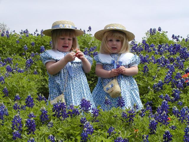 camera/2001/03(March)/03_25_Bluebonnets/640x480_P3250009.JPG