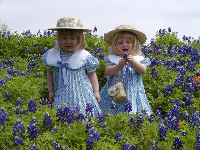 camera/2001/03(March)/03_25_Bluebonnets/640x480_P3250013.JPG
