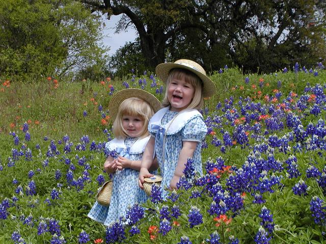 camera/2001/03(March)/03_25_Bluebonnets/640x480_P3250028.JPG
