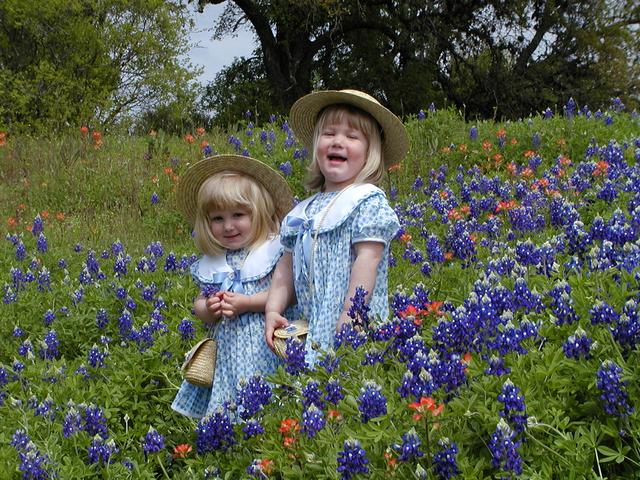 camera/2001/03(March)/03_25_Bluebonnets/640x480_P3250030.JPG