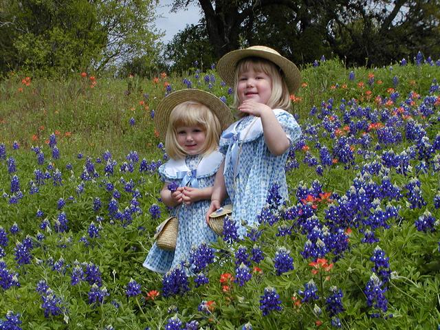 camera/2001/03(March)/03_25_Bluebonnets/640x480_P3250034.JPG