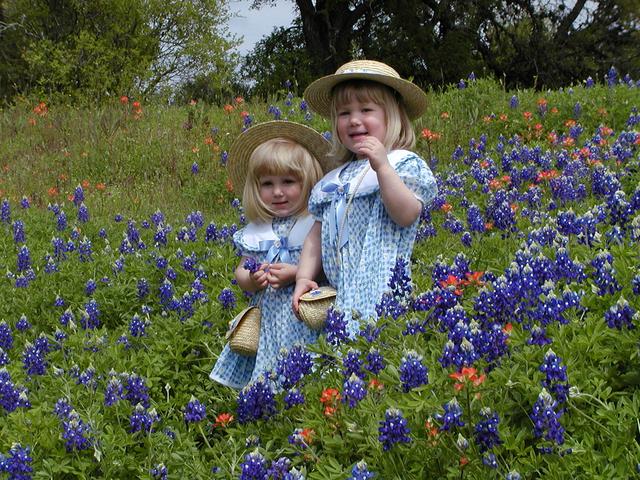 camera/2001/03(March)/03_25_Bluebonnets/640x480_P3250035.JPG