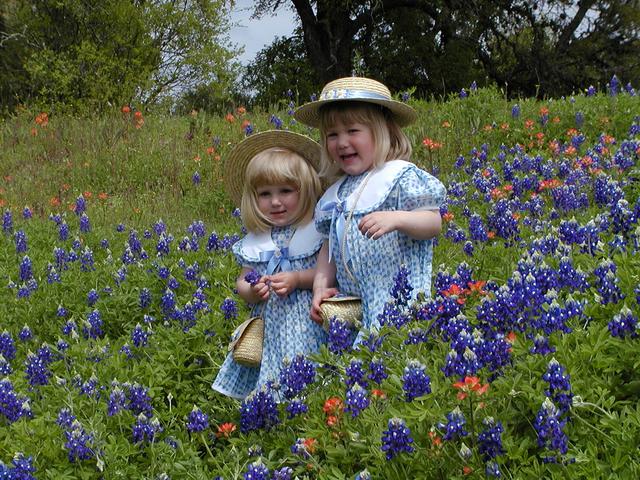 camera/2001/03(March)/03_25_Bluebonnets/640x480_P3250037.JPG