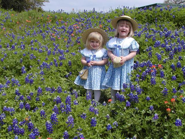 camera/2001/03(March)/03_25_Bluebonnets/640x480_P3250046.JPG
