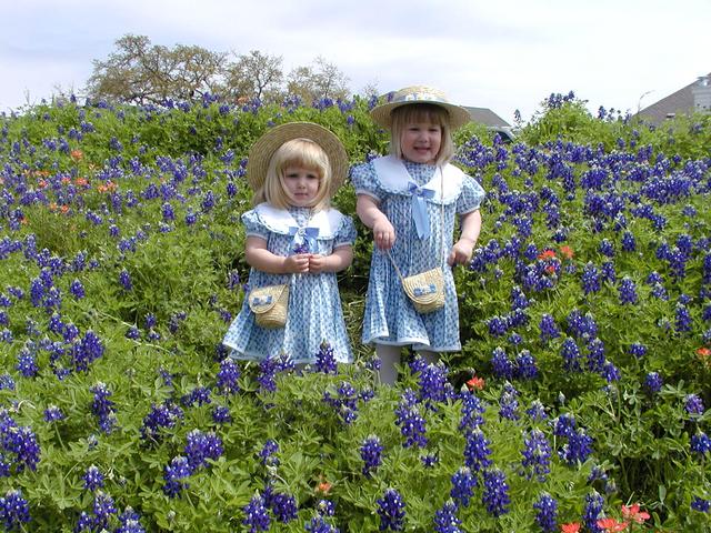 camera/2001/03(March)/03_25_Bluebonnets/640x480_P3250050.JPG