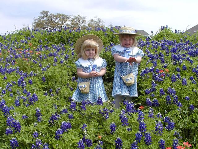 camera/2001/03(March)/03_25_Bluebonnets/640x480_P3250052.JPG