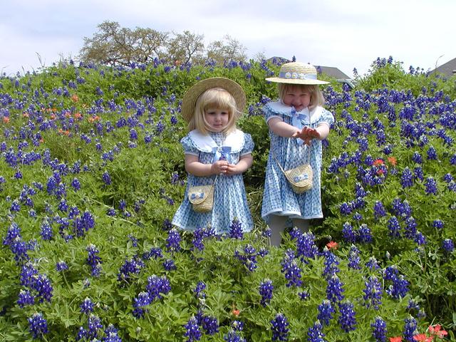camera/2001/03(March)/03_25_Bluebonnets/640x480_P3250053.JPG